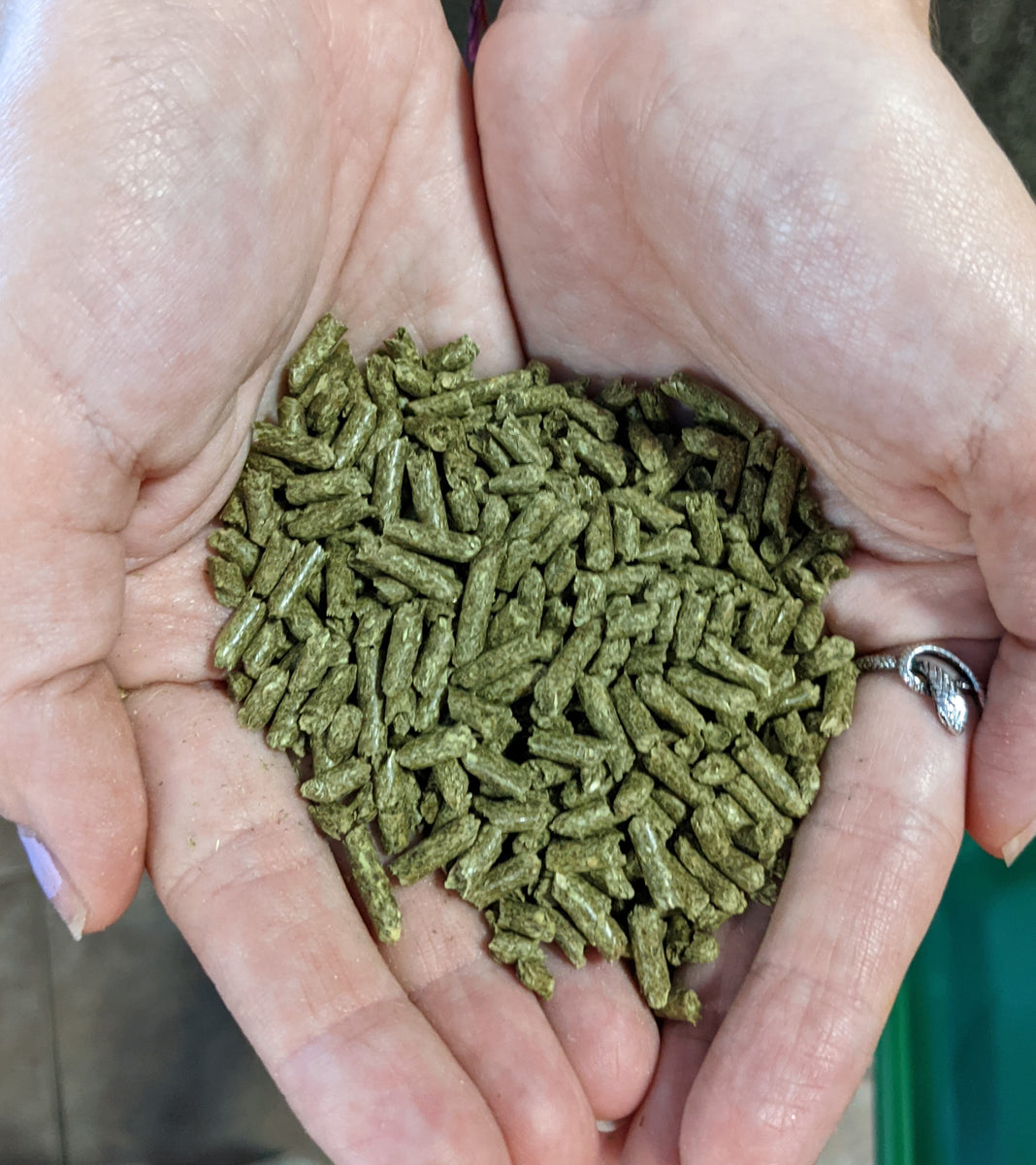 Picture of Bulk Food - Oxbow Adult Guinea Pig Pellet - 5lbs – Preuss Pets